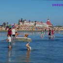 청화종합동물병원 이미지