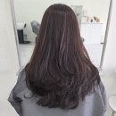 효행초등학교 | 유채색 | 봉담 염색전문 미용실 대만족 후기