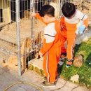 댕댕이 하우스 이미지