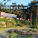 영산로 288 네이버블로그
