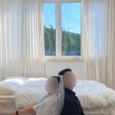 카도스테이 이미지