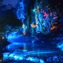 강천산 캠핑 이미지