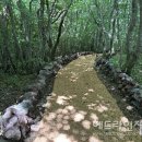 절물생태관리소 (절물자연휴양림) 헤드라인제주