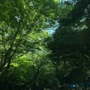 [국내] 해남여행2일차(우수영관광지, 명량해상케이블카, 우수영 스카이워크, 대흥사, 두륜산국립공원...
