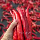 마리네 농장 이미지