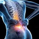 올바른신경외과의원 | 허리디스크 병원 정형외과 갈까, 신경외과 갈까?