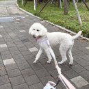 다우리유치원 이미지