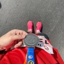 270-3555 | [러닝화 구매 후기] 나이키 알파플라이2 - 현존 최고 러닝화!