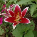 영화농장 이미지