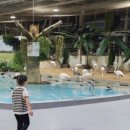 호텔디에디션 이미지