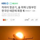 하와이 항공기, 술 취해 난동부린 한국인 때문에 회항(男) 이미지