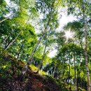 양평밸리 이미지