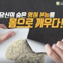 하프의원 이미지