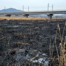 억새2축구장 이미지