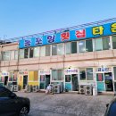 고성수산횟집 | [강원도 고성여행] 고성 봉포항 횟집 석이네 자연산 모듬회 솔직 후기 (내돈내산)