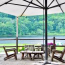 행정심판민원 행정사사무소 이미지