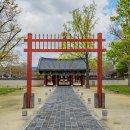 [전주여행] 뚜벅이 여자 혼자 전주 여행 당일치기