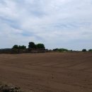 상모리-13 이미지