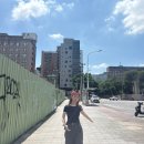 다오사
