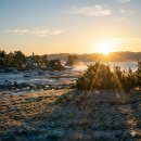 첨단THE선요양병원 | 줄기세포란 무엇인가?종류와 특징 완전정리 (2026년 최신판)