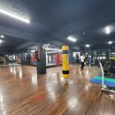 대한복싱체육관 이미지