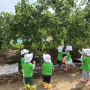 북촌농장 이미지