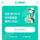 도그비잉펫케어 | 만족도 최상 부업 : 도그메이트 반려동물 돌봄 펫시터 5개월 해본 후기