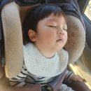 돌봄 | 아이돌봄서비스 시간제 비용과 돌봄선생님 후기