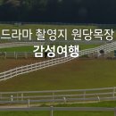 너른마당 티스토리