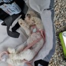 삼공주 농원 이미지