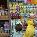 푸른숲마트