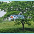 마재공인중개사사무소 이미지