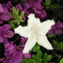 백화산유원지입구 이미지