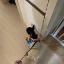 쌍용노래연습장 이미지