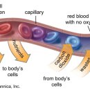 운동케어센터 이미지