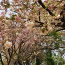 가1리경로당 이미지