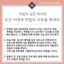 든든한나무 이미지