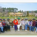 골정지 Daum카페