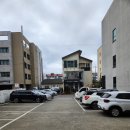 동홍 | 제주 도시락 단체 추천｜서귀포 제쭈 동홍점 초밥도시락 포장 후기