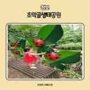 군포시립가야어린이집 | 수도권 아기랑 가기 좋은 곳 - 군포 산본 초막골생태공원