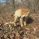 으니농장 이미지