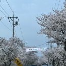 천변주유소 이미지