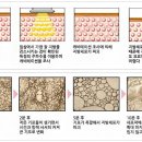 ★(최고의 바디&페이기기)케비테이션/바이폴라(슬리바디라인,페이스3종기기)★ 이미지