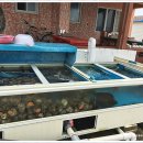 우도에 가면 이미지