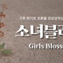 블로썸코리아 이뉴스투데이