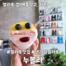 누볼라(NUVOLA) - 서초구 서초동 | 강남카페 생과일젤라또 누볼라 NUVOLA 내돈내산 후기