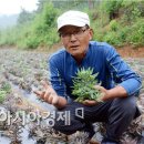 뽕이랑 귀농이랑 아시아경제