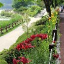 설봉공원 이미지