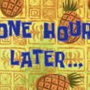 멍멍부띠끄 이미지