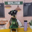 멍언니 쌀롱 이미지